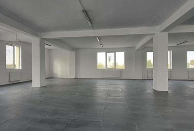 Berceni - Soseaua Giurgiului, spatiu 600 mp - 9