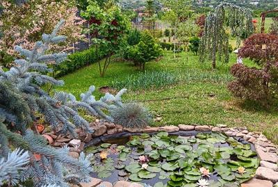 Proprietar, parter la casa cu etaj, Mogosesti - Iasi, 10 km Proprietar, parter la casa cu etaj, Mogosesti - Iasi, 10 km - 7