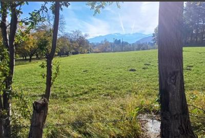 Teren intravilan zona Bran,Tohanita - 5