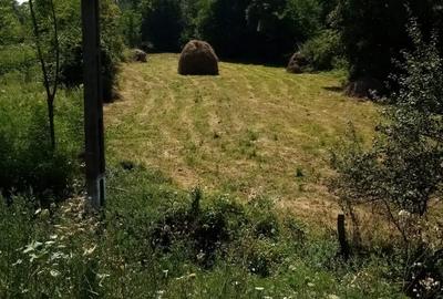 Teren în Stoenești - 5