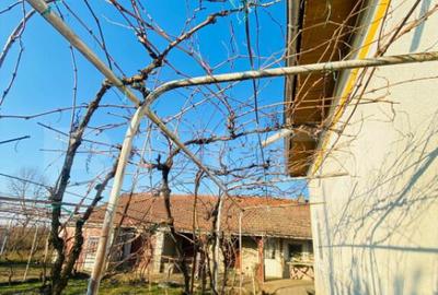 Casă cu 4 camere cu Teren 2753 Mp în Central