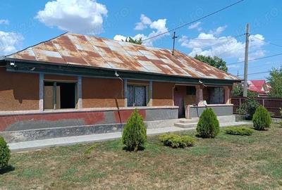 Teren de 2300 mp, în Snagov - 4