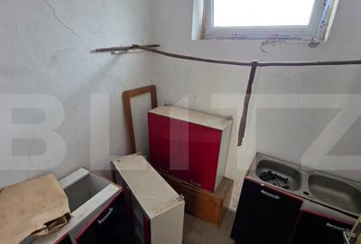 Casa cu teren 32 ari Viile Tecii, la 30 km de Bistri?a - 13