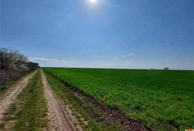 Teren de 30700 mp, în Central - 2