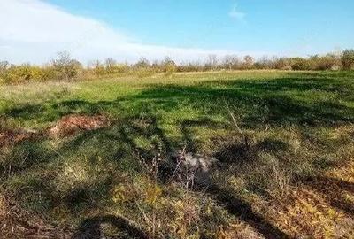 Teren Ungheni, ID: R2832820 - 11