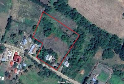 Spațiu comercial, în Vorovești