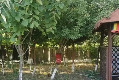 Teren in Contesti, Dambovita - 26