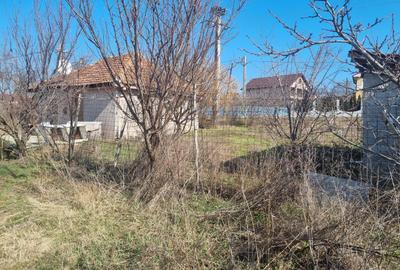 Casă cu 4 camere cu Teren 3000 Mp în Belcești - 1