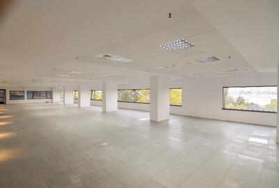 RAMS Business Center, Basarabia, 200 - 2000 mp  0% comision! - 4