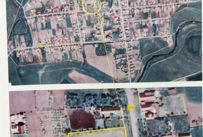 Casa de vanzare cu teren intravilan in Beregsaul Mic, jude?ul Timi? - 1