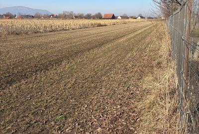 Teren Construcții intravilan de 6000 mp, în Stupini - 4