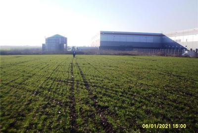 Teren de 4000 mp, în Domnești - 3