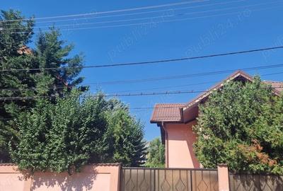 Casă cu 6 camere în Brâncoveanu - 4