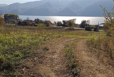 Teren Construcții intravilan de 3000 mp, în Berzasca - 9