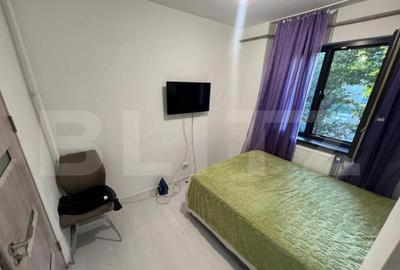 Apartament cu 3 camere semidecomandat, mobilat în Brazda lui Novac - 6