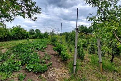 Casa 2 camere cu suprafata 50mp si teren 1300mp,in Miercurea Sibiului - 17