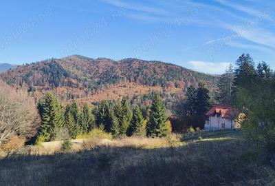 Teren în Central - 2