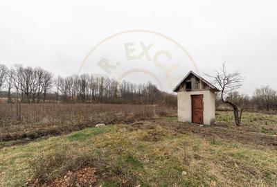 Casa cu lac priveliste superba spre padure 0% Comision - 18