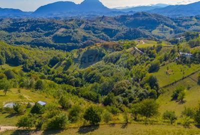 Teren de 6014 mp, în Holbav - 12