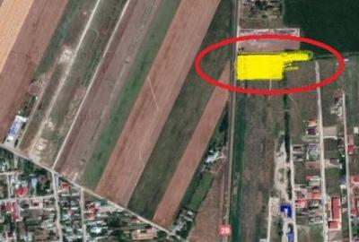 Teren intravilan 5000 mp Minerva cu posib utilitati ,25 euro Teren intravilan 5000 mp Minerva cu posib utilitati ,25 euro - 1