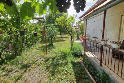 Casă cu 2 camere în Câmpia Turzii - 3