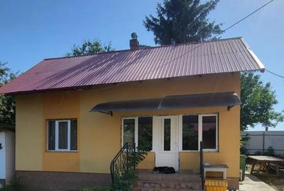 Casă cu 6 camere cu Teren 60000 Mp în Zvoriștea - 4