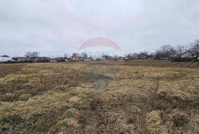 Casă / Vilă cu 12 camere, teren intravilan de 2869mp în Siminicea, SV - 11