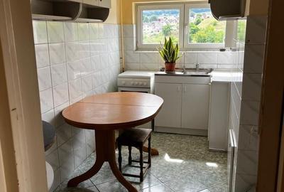 Apartament cu 3 camere decomandat în Dâmbu Pietros - 3