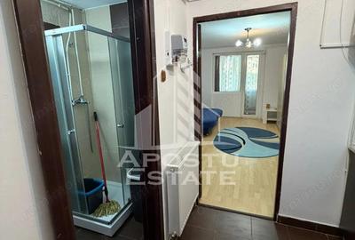 Garsonieră decomandată, mobilată în Vest - 8