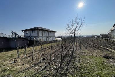 Spațiu comercial, în Blejoi - 4