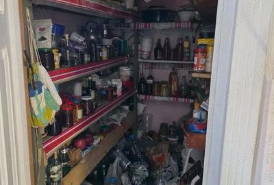 Casă cu 4 camere cu Teren 1650 Mp în Făget - 4
