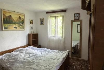 Casă cu Teren 2650 Mp în Nemoiu