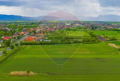 Teren agricol extravilan de 10000 mp, în Prejmer - 7