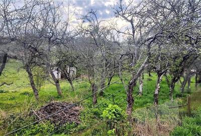 Spațiu comercial, în Gemenea-Brătulești - 7