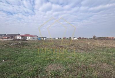 COM 0% Teren Intravilan Mosnita Veche COM 0% Teren Intravilan Mosnita Veche - 2