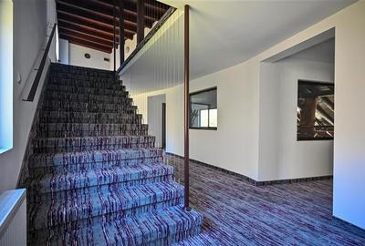 Pensiune noua, cu acces la apa curgatoare,  Bran, Moieciu, Brasov Pensiune noua, cu acces la apa curgatoare,  Bran, Moieciu, Brasov - 16