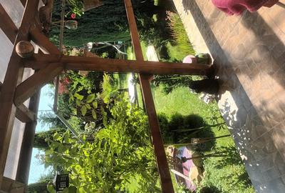 Casa de vanzare str Kaffka Margit - 9