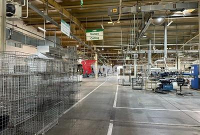 Spațiu industrial, de 7,250 mp, în Șagului - 5