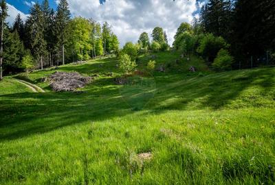 Teren intravilan cu potential turistic si de agrement, zona Trei Brazi - 25