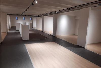 Spatii Comerciale - 500 mp - Showroom - Comert - 17