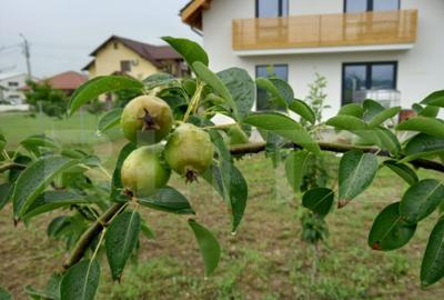 Casa individuala, 155 mp utili, 692 mp teren, Cornesti-Mihai - 9