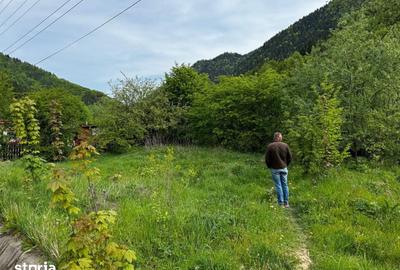 Teren de 4300 mp, în Tarcău - 2