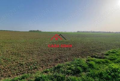 Casă cu Teren 5000 Mp în Urleta - 6