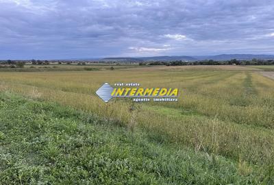 Teren Construcții intravilan de 2300 mp, în Mereteu - 7