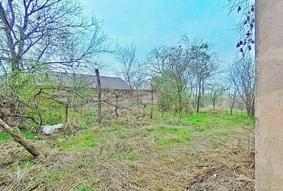 Casă cu potențial, teren generos de 1.440 mp – Secusigiu, Arad - 5