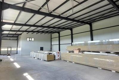 Vanzare depozit/hala/spatiu industrial Domnesti - Centura, Ilfov - 3