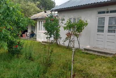 Casă cu 4 camere cu Teren 3200 Mp în Mănăstioara - 2
