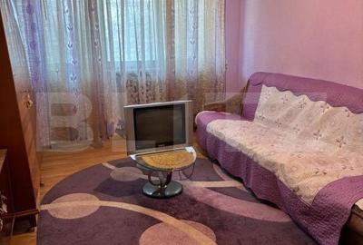 Apartament cu 2 camere semidecomandat în Paltin - 3