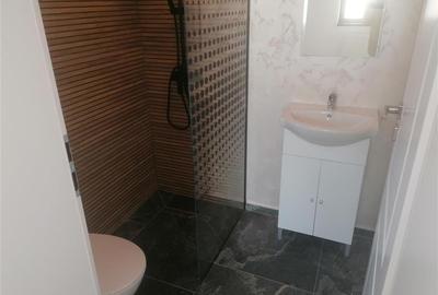 Casa NOUA Vatra Satului Sag Casa NOUA Vatra Satului Sag - 6