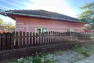 Casă cu 2 camere în Șepreuș - 1
